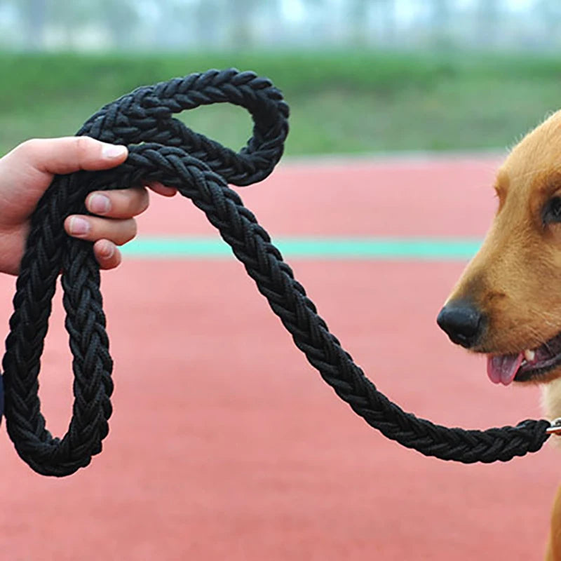 Large Dog Leash Traction