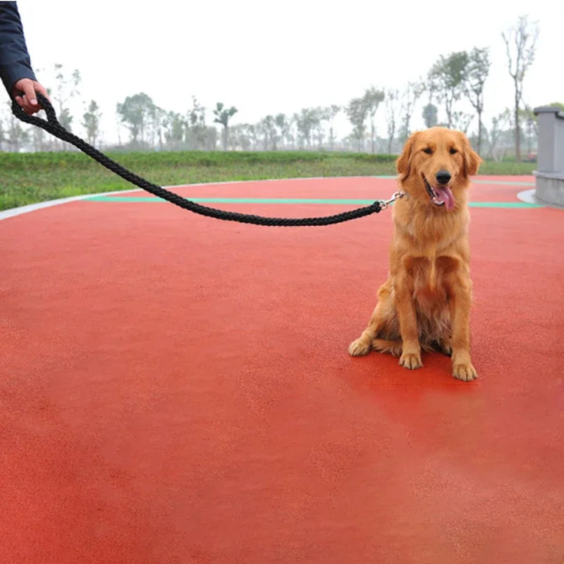 Large Dog Leash Traction