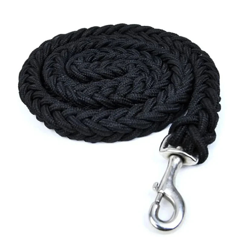 Large Dog Leash Traction